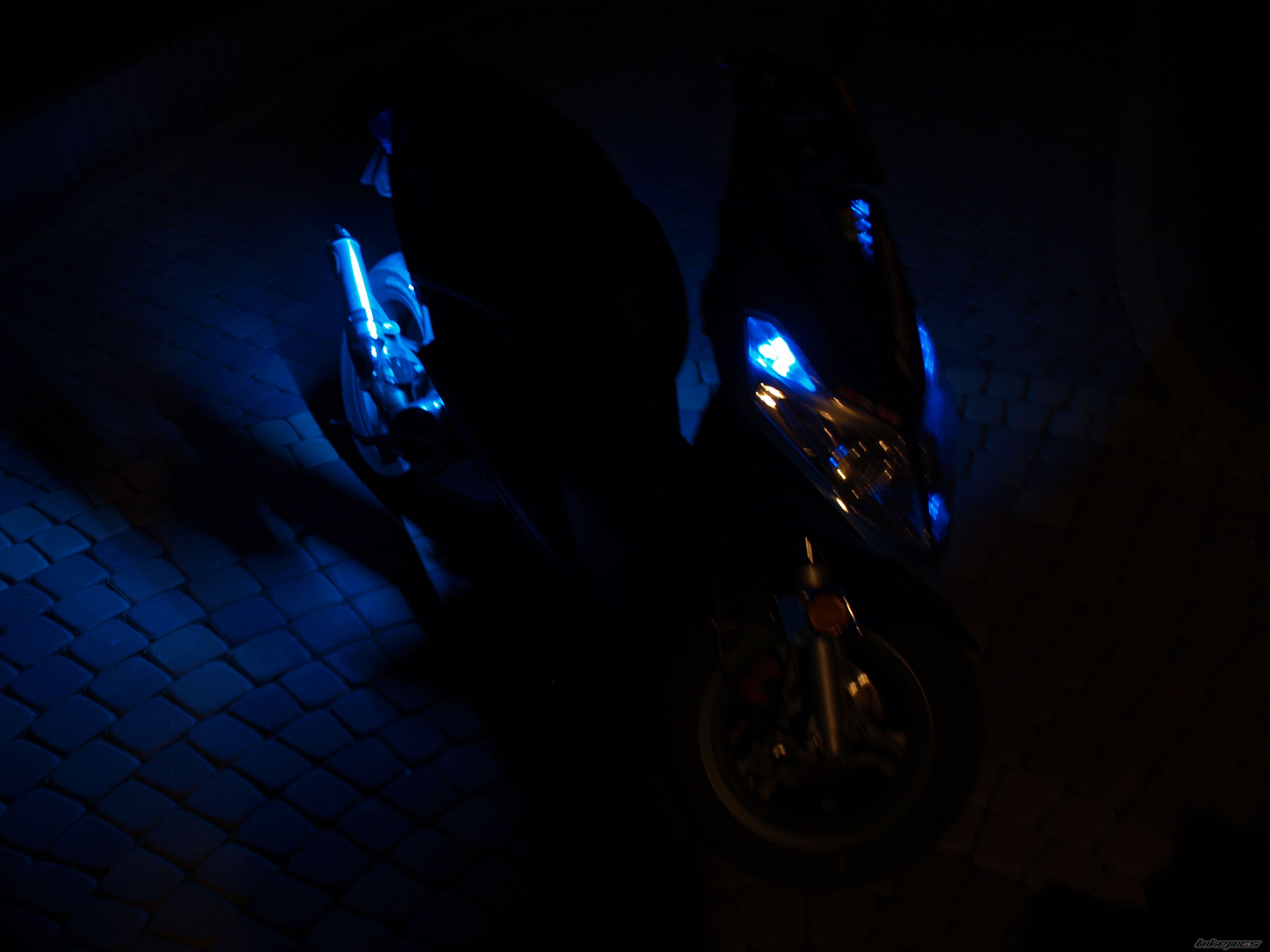 Photo 1282452