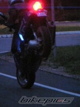 Photo 1282458