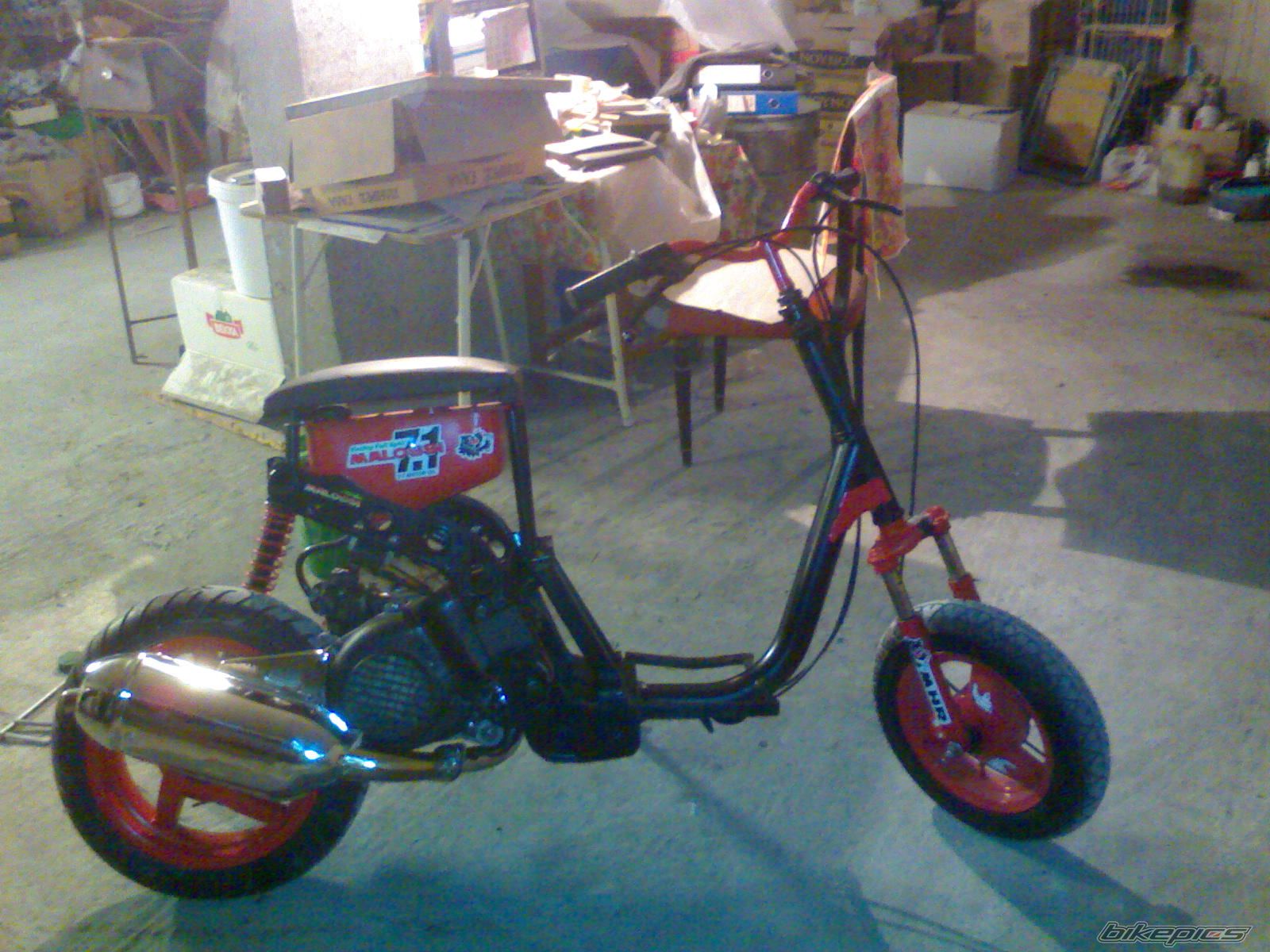 Photo 1282461