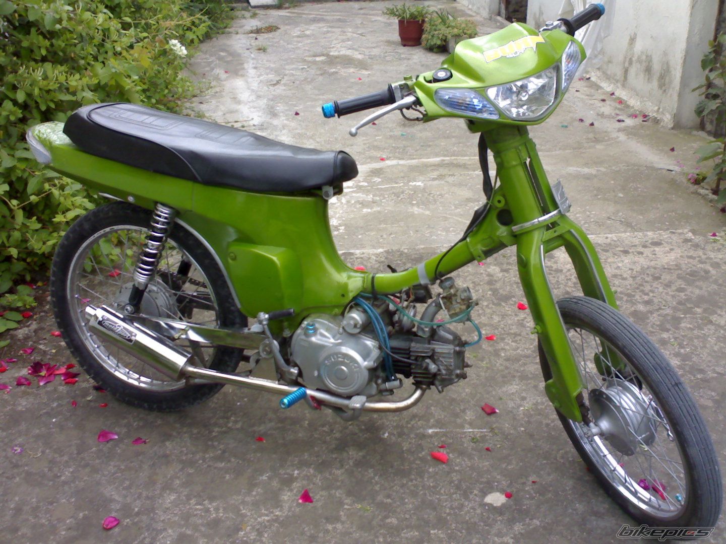 Photo 1282468