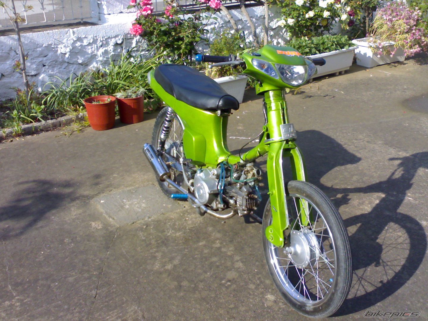 Photo 1282472