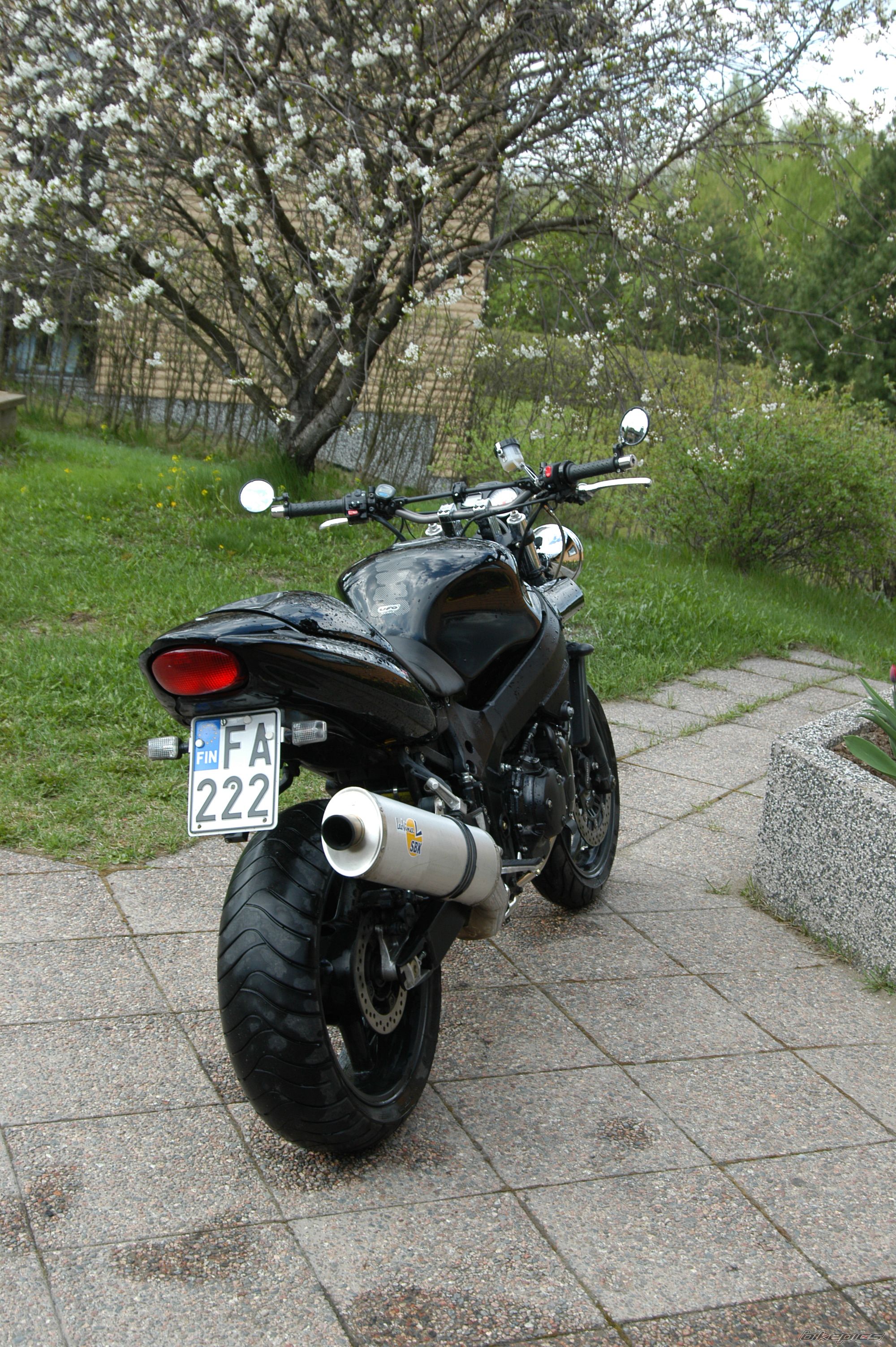 Photo 1282480