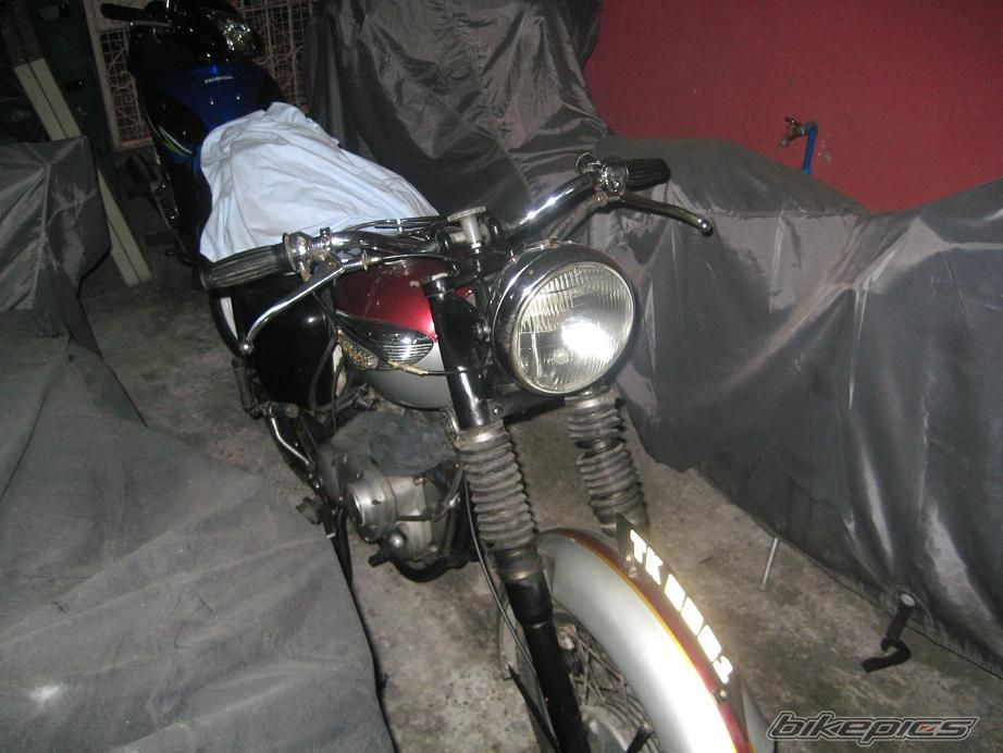 Photo 1282501