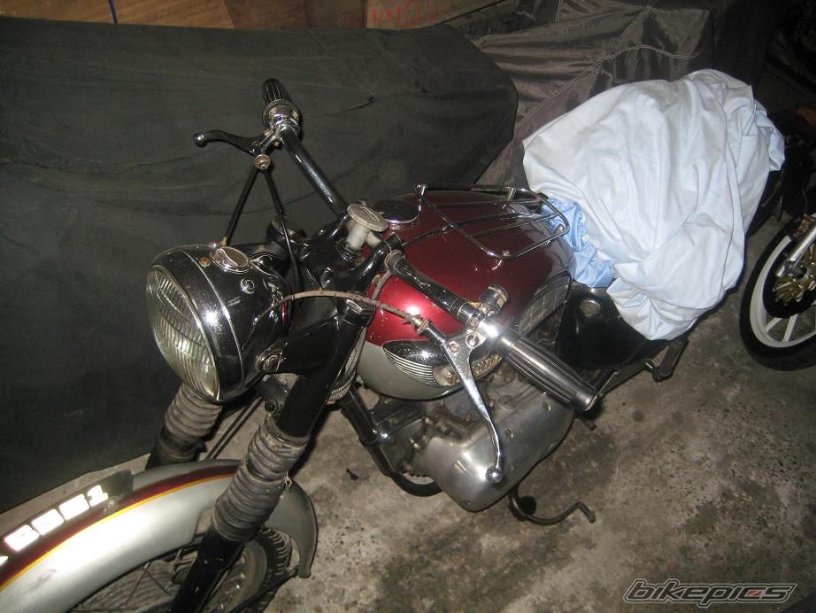 Photo 1282503