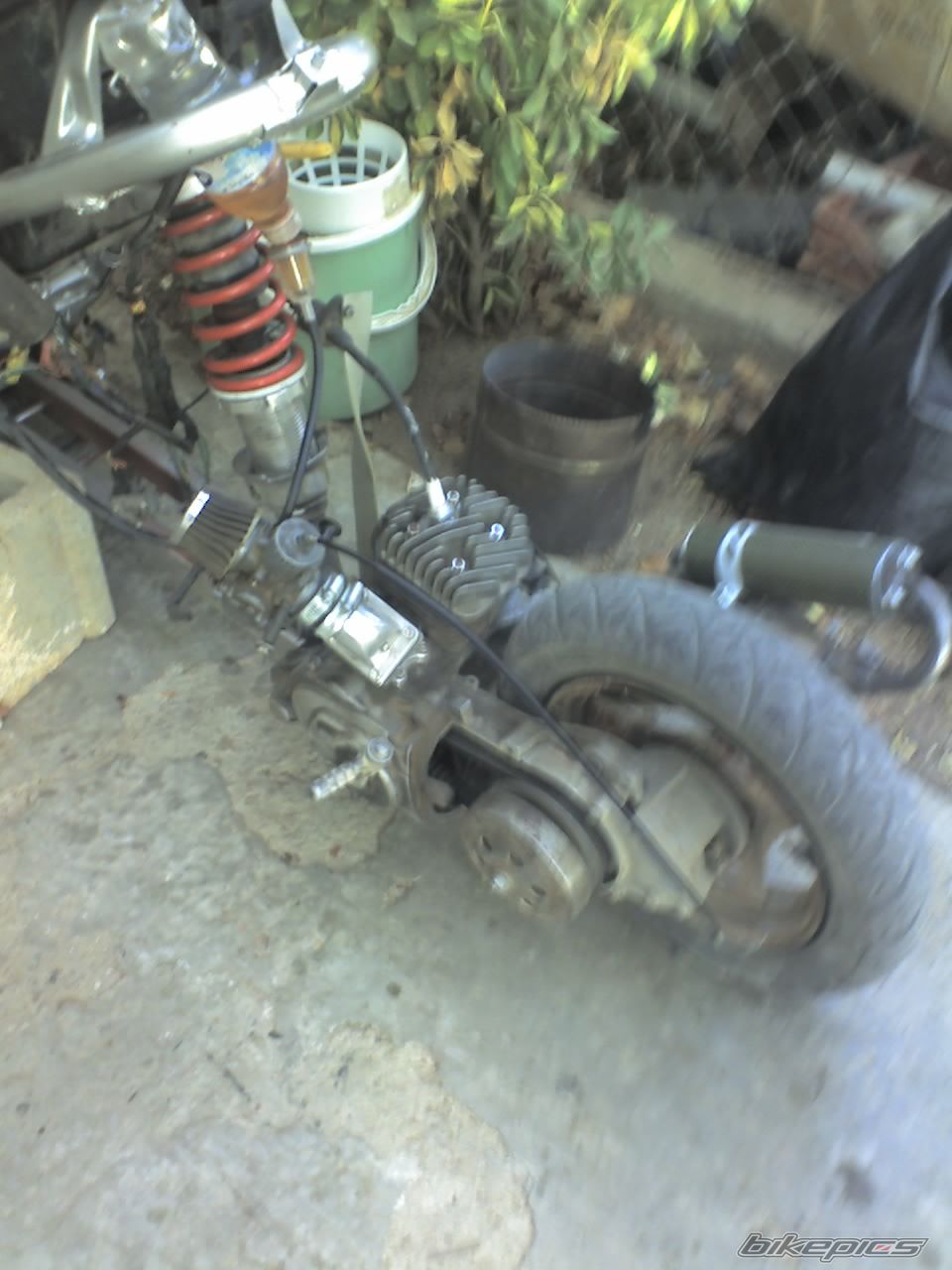 Photo 1282546