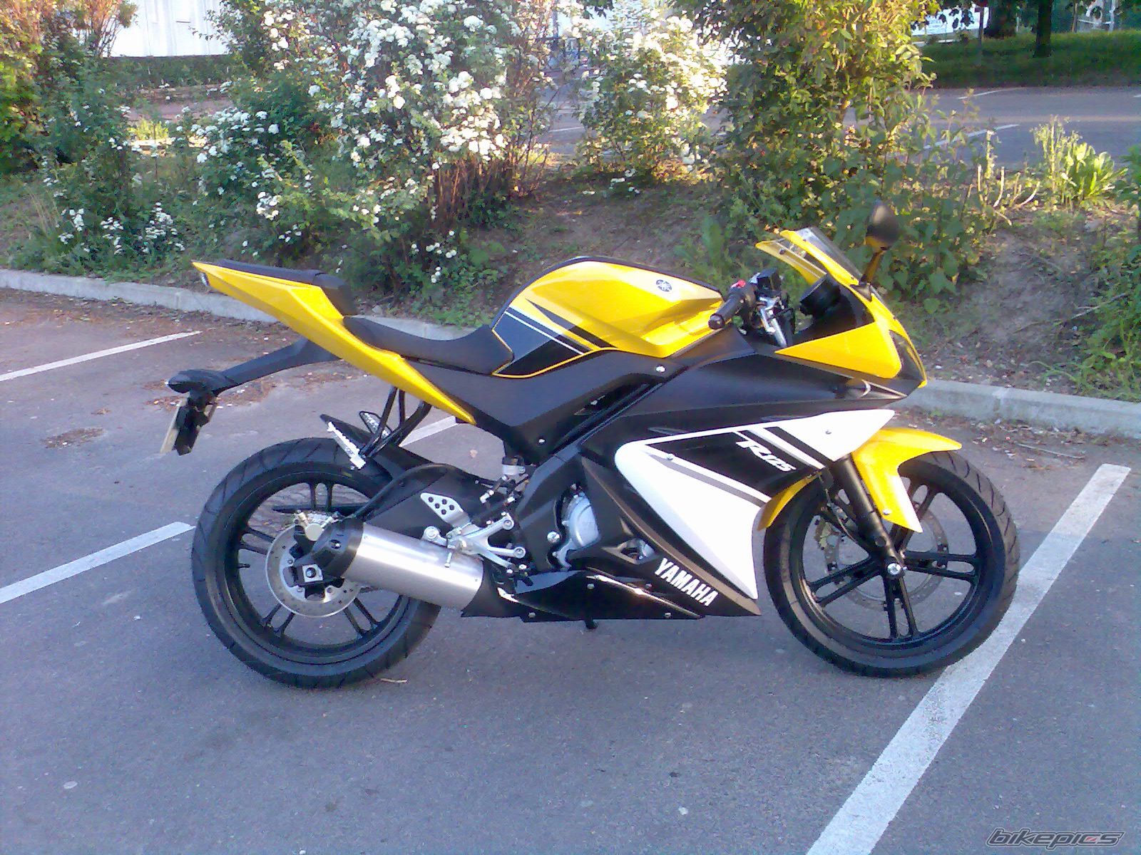Photo 1282549