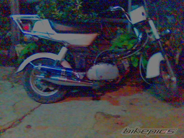 Photo 1282559