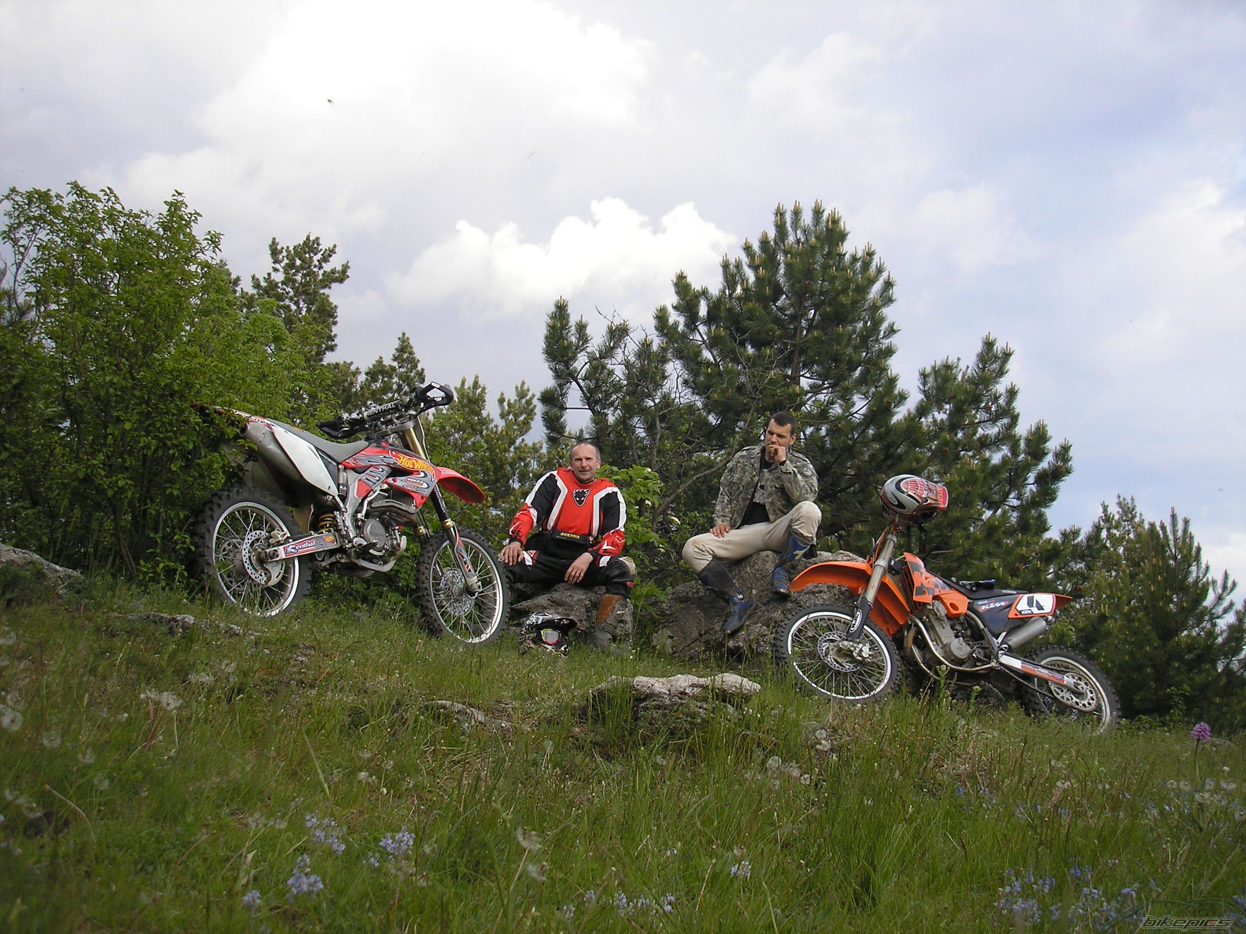 Photo 1282577