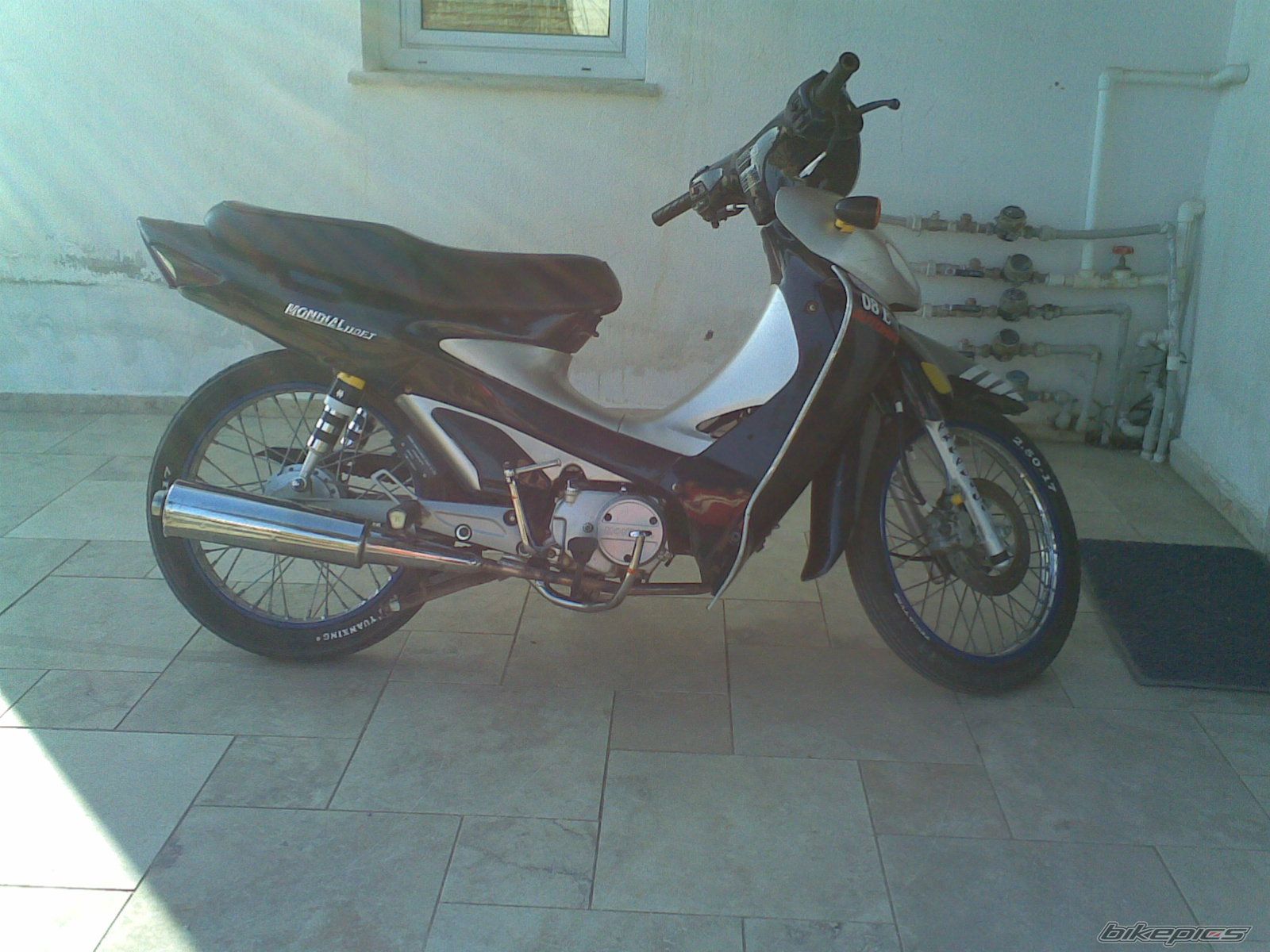 Photo 1282649