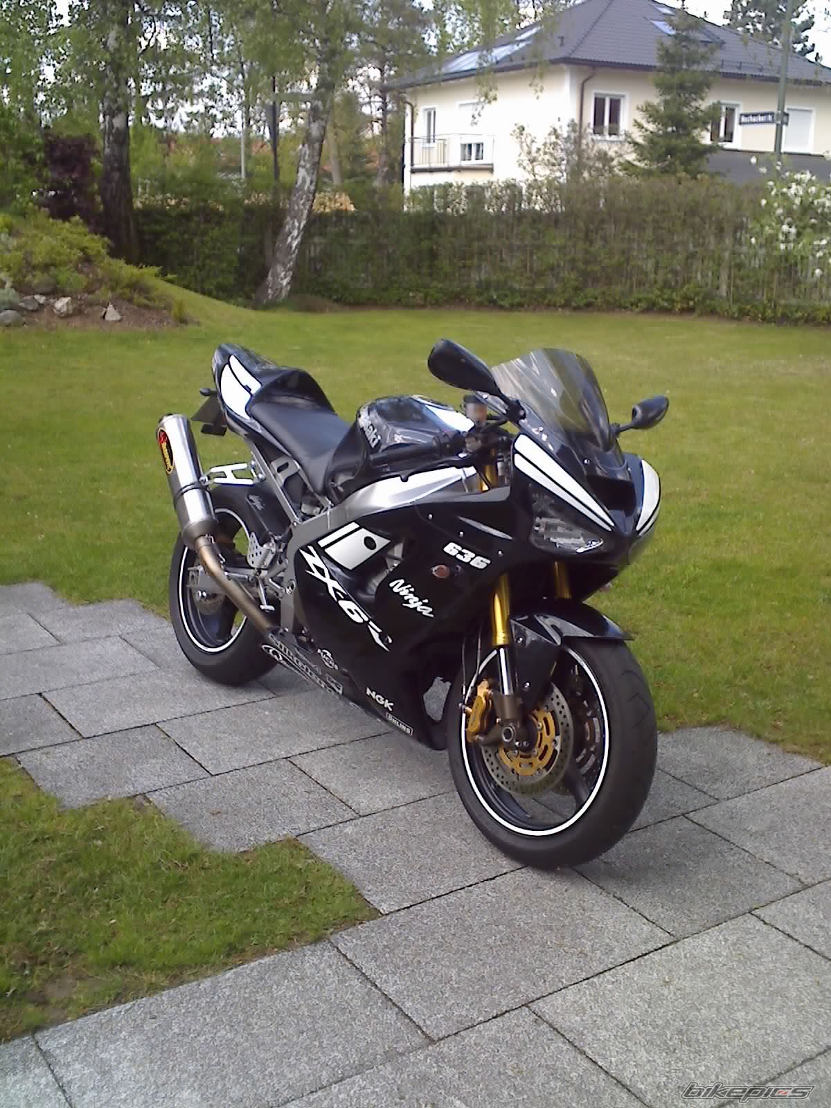Photo 1282856