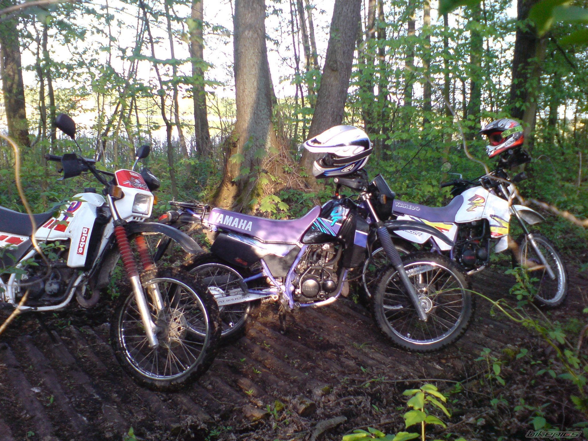 Bike Photo 1282917