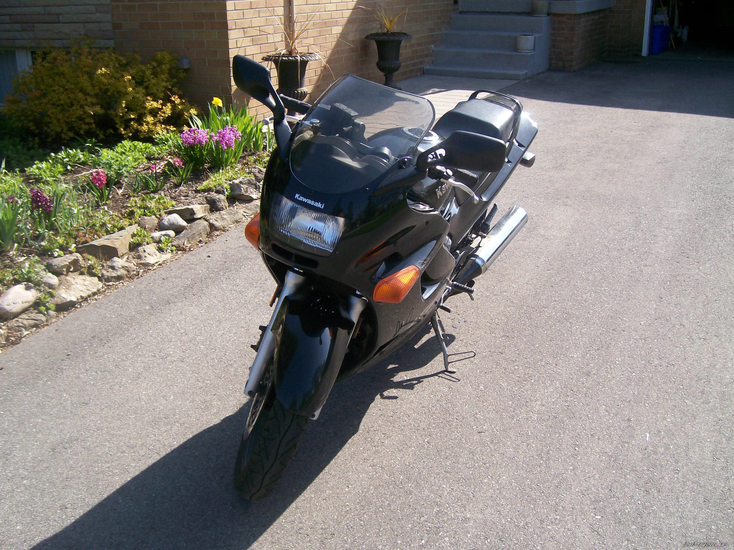 Photo 1282955