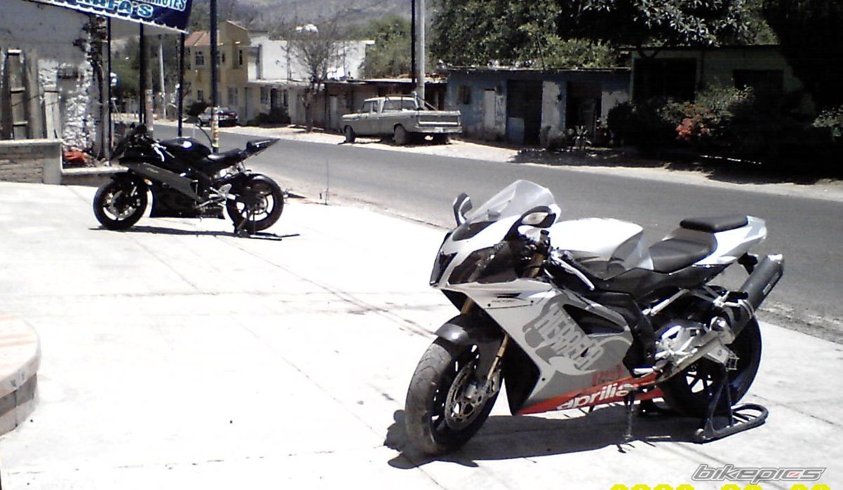Photo 1283004