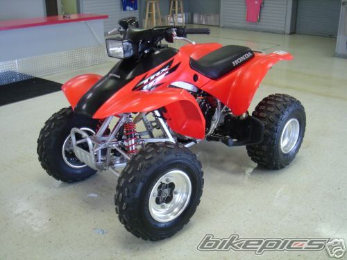 Photo 1283006
