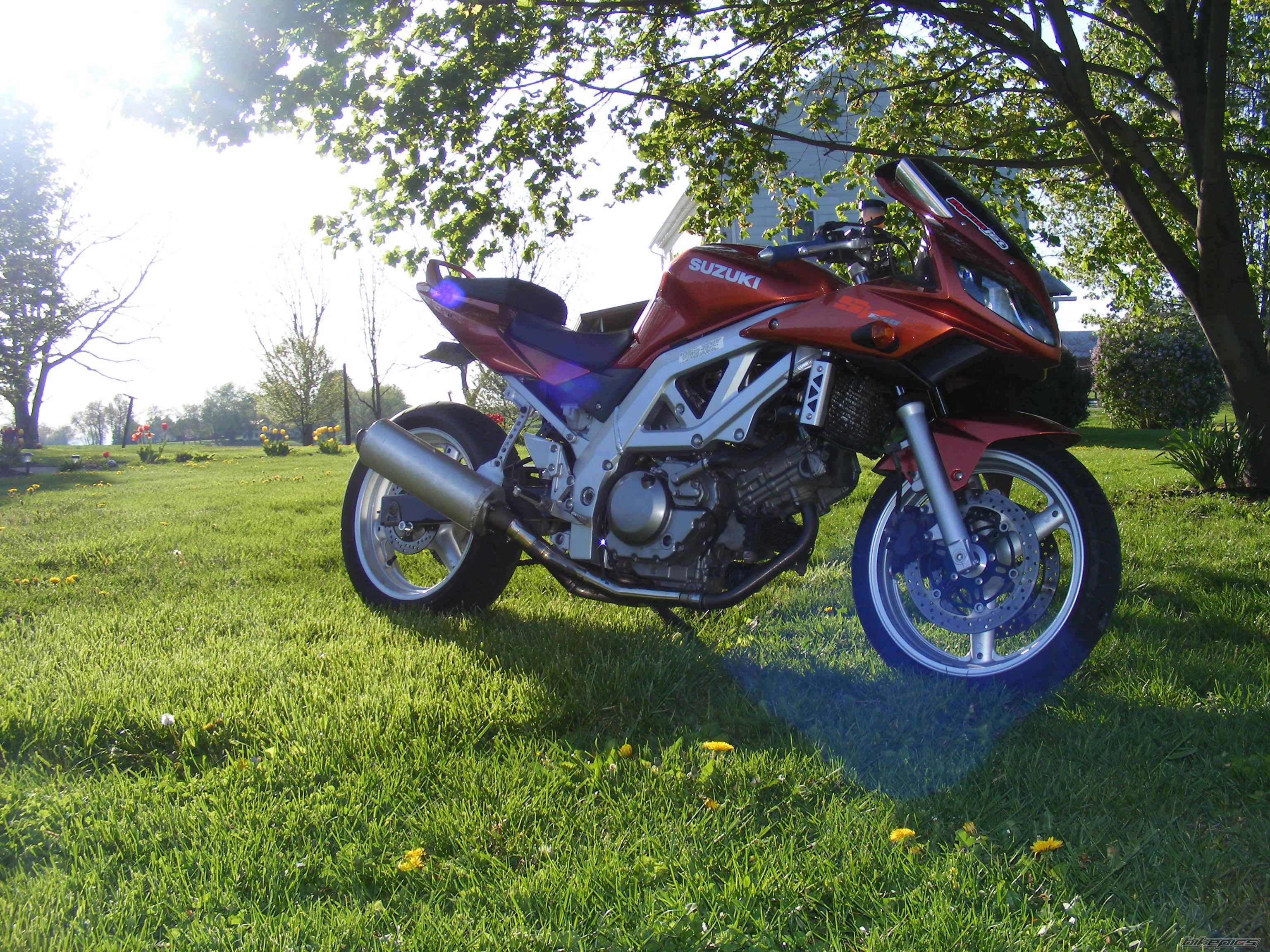 Photo 1283084