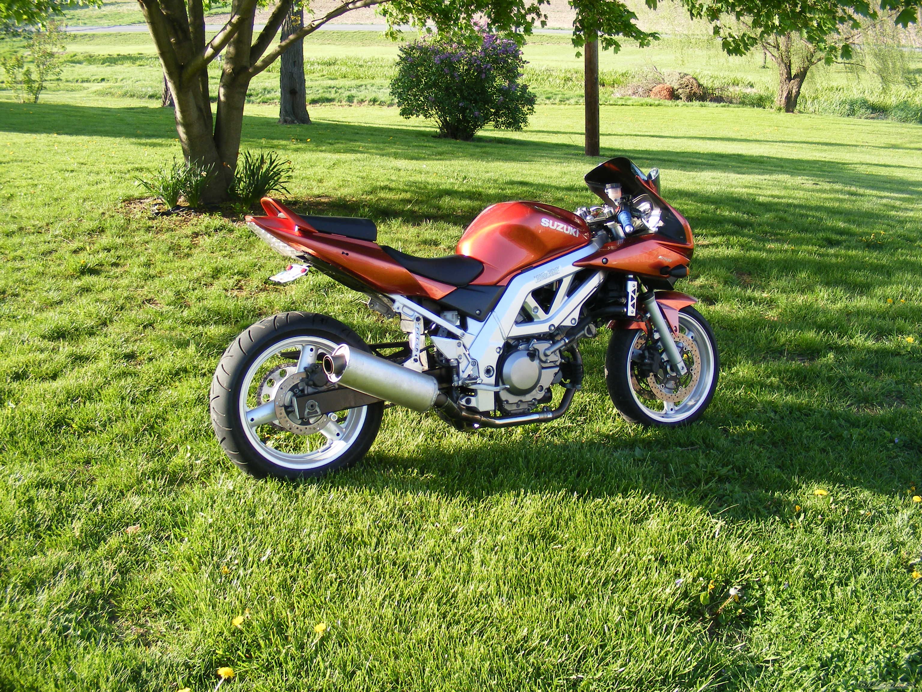 Photo 1283086