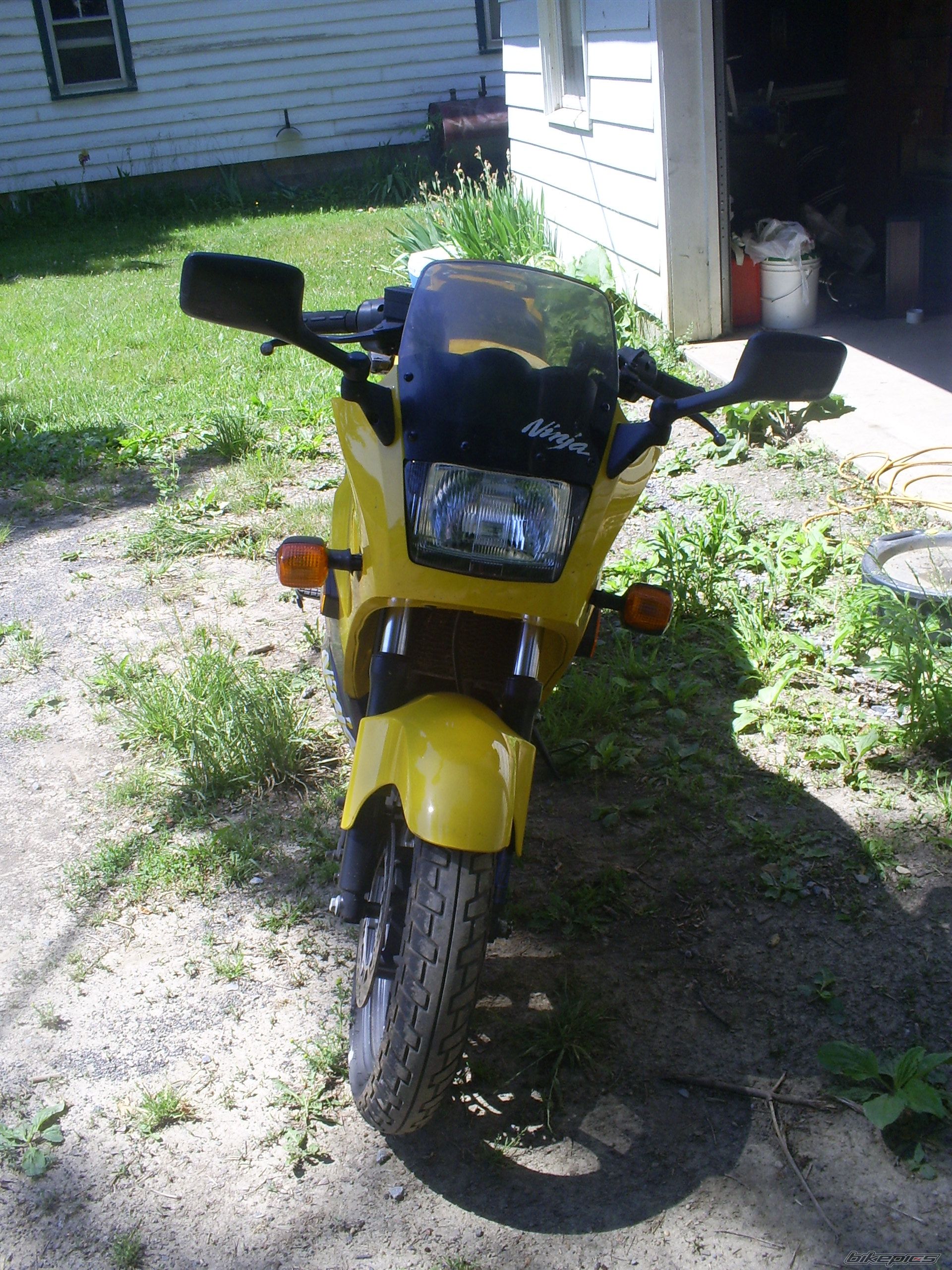 Photo 1283100