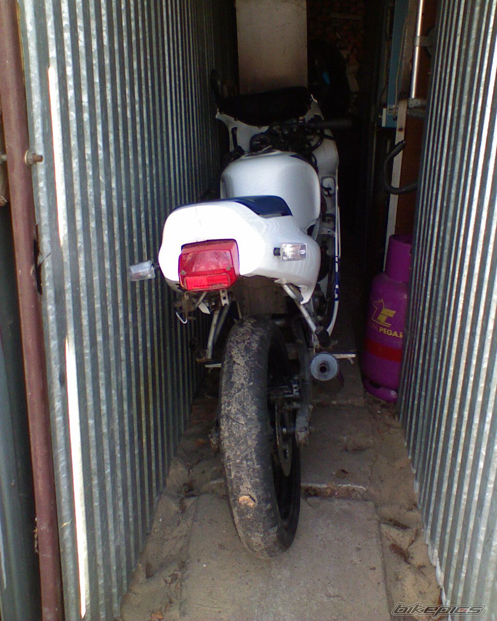Photo 1283177