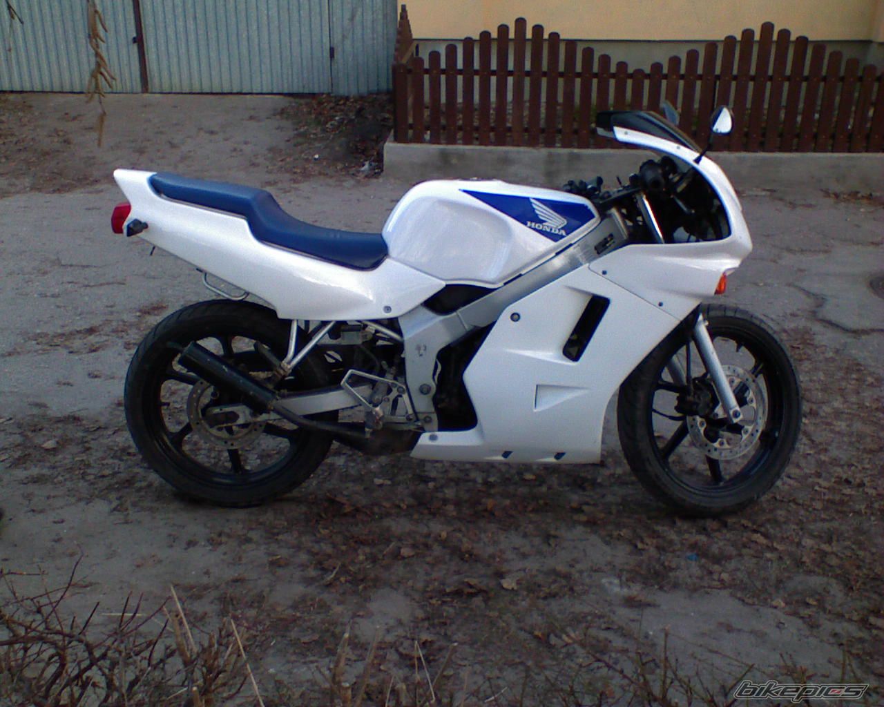 Photo 1283178