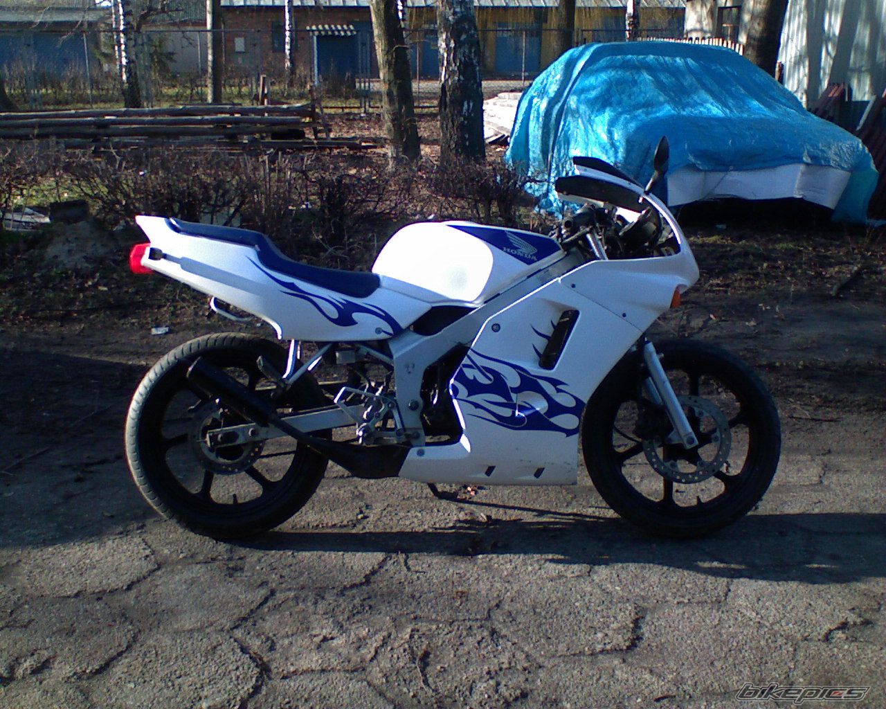 Photo 1283184