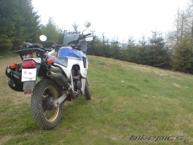 Photo 1283196