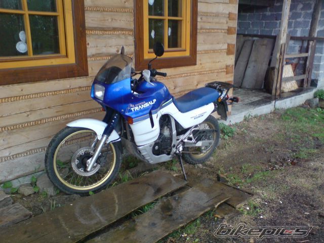 Photo 1283197