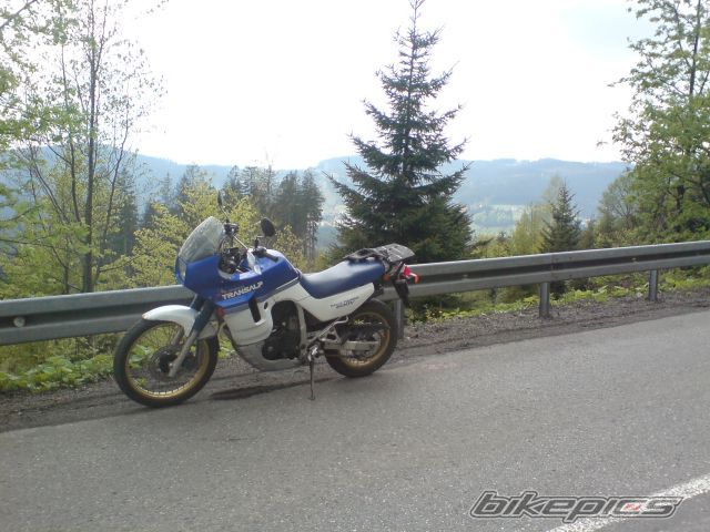 Photo 1283200