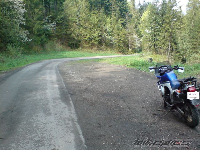 Photo 1283204