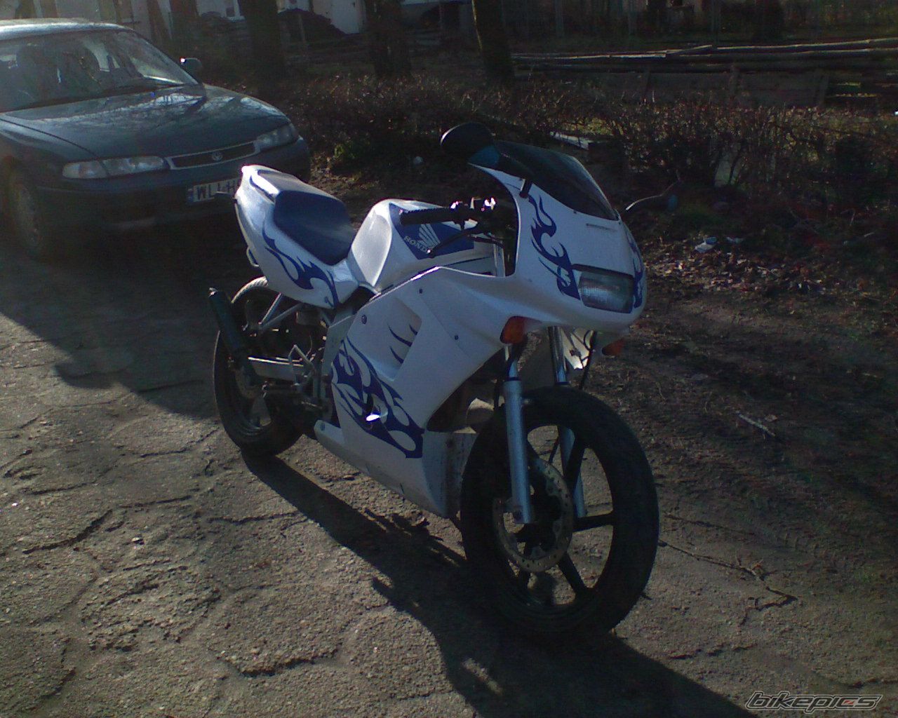 Photo 1283206