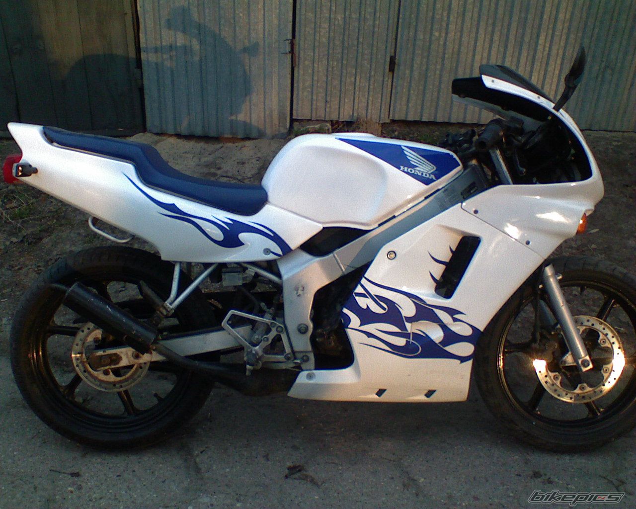 Photo 1283232