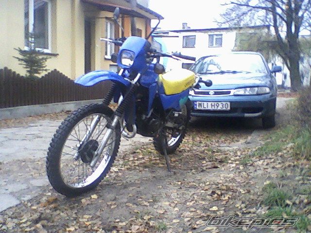 Photo 1283244