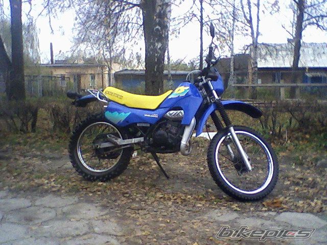 Photo 1283245
