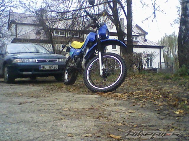 Photo 1283246