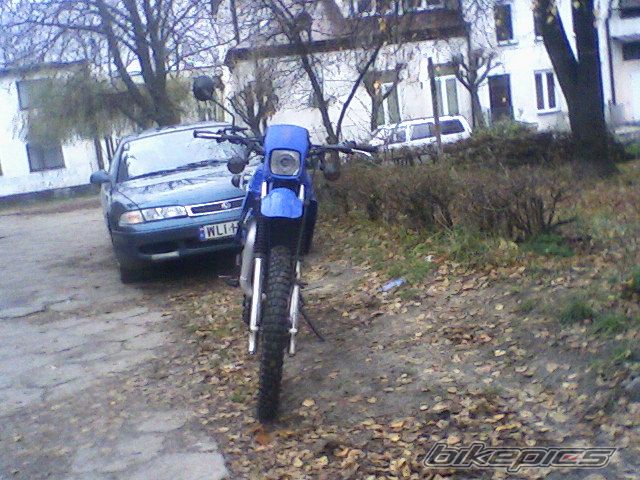 Photo 1283249