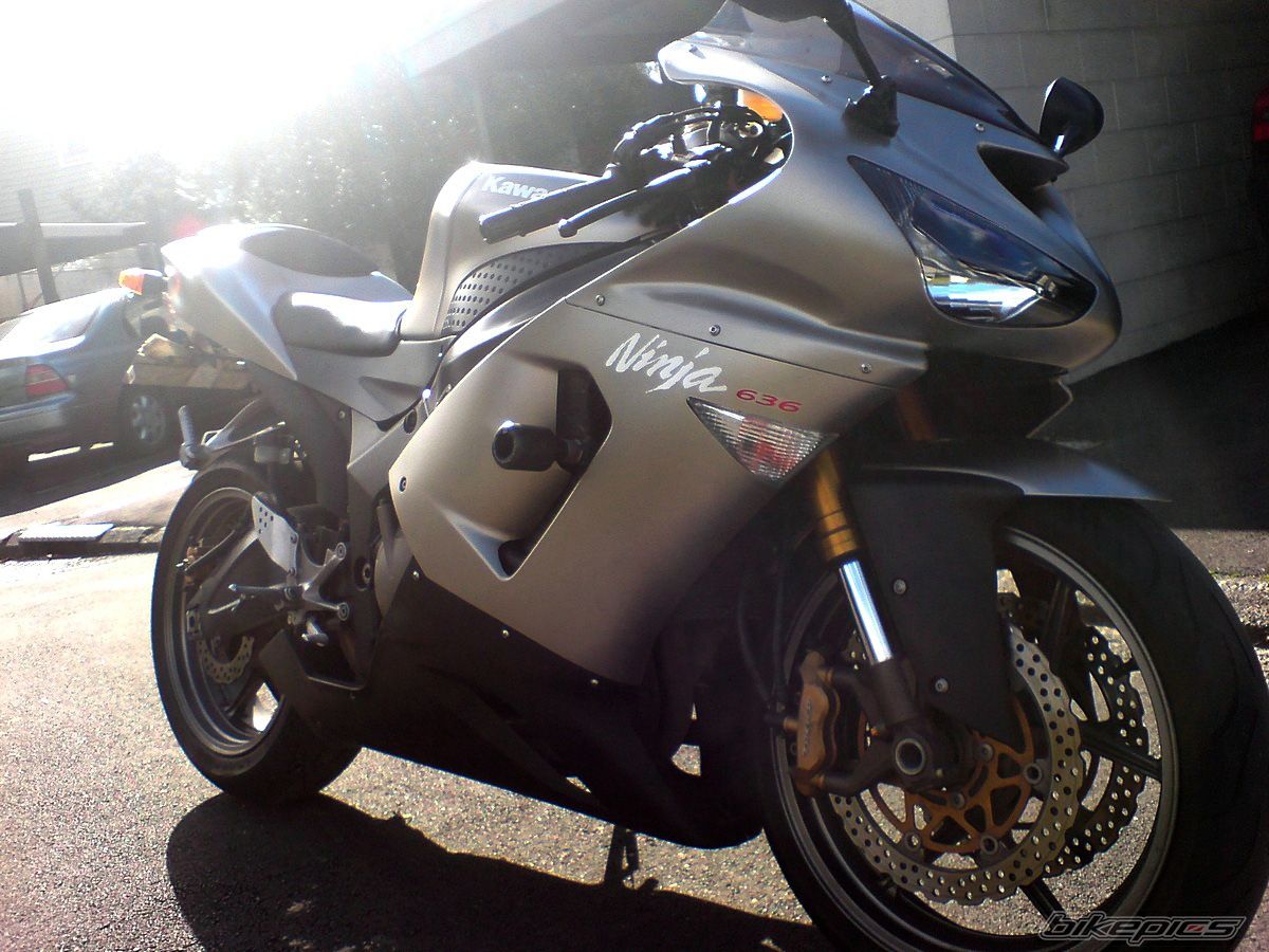 Photo 1283279