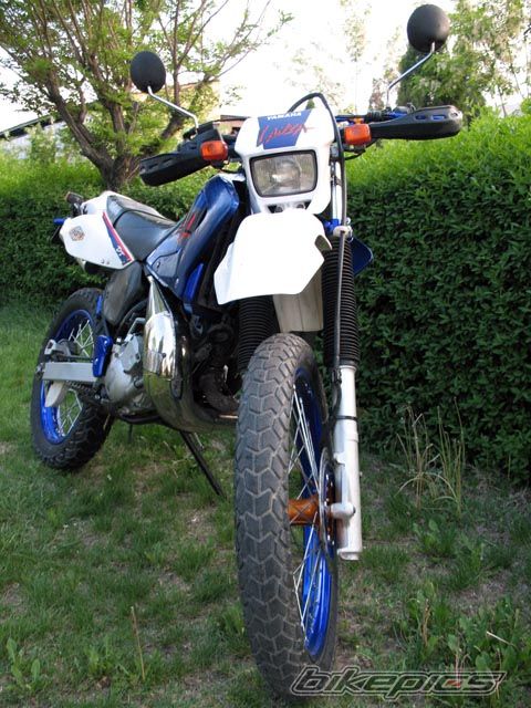 Photo 1283288