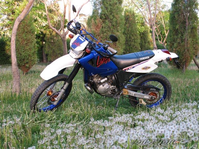 Photo 1283294