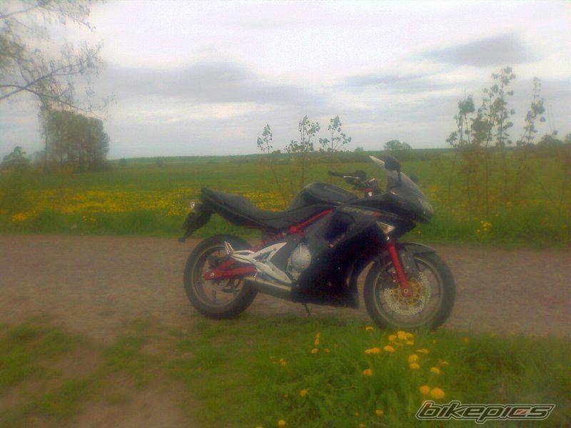Photo 1283301