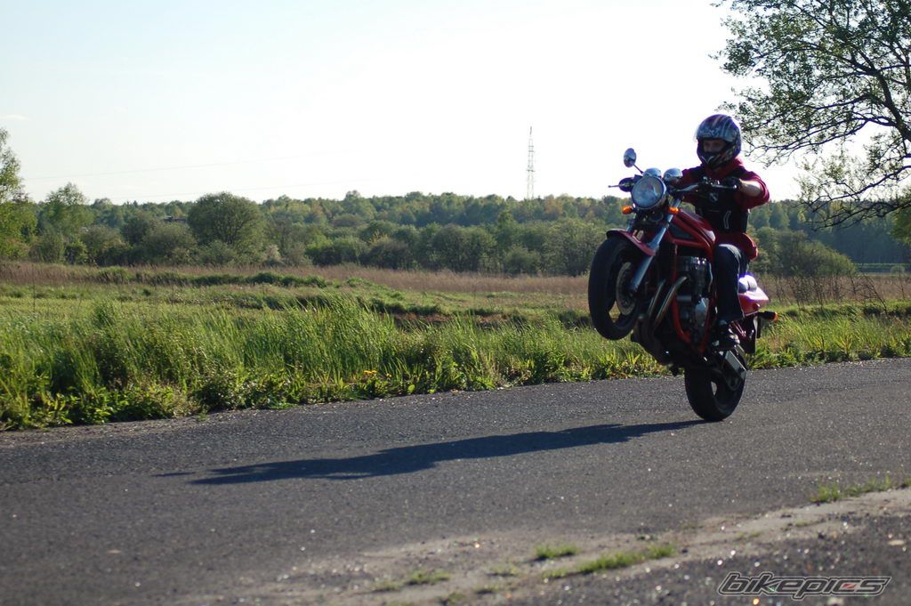 Photo 1283333