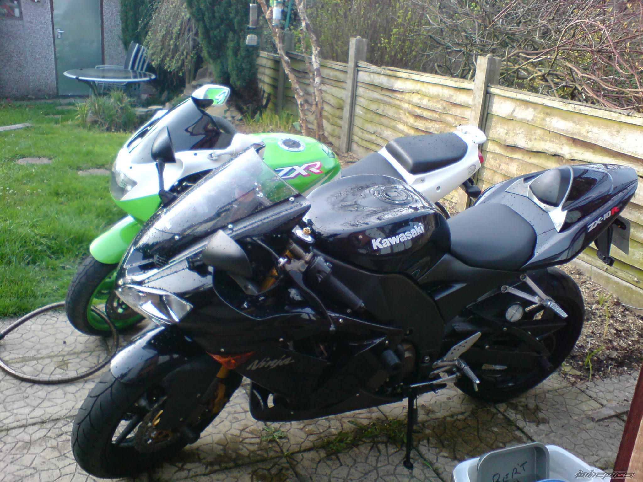 Photo 1283413