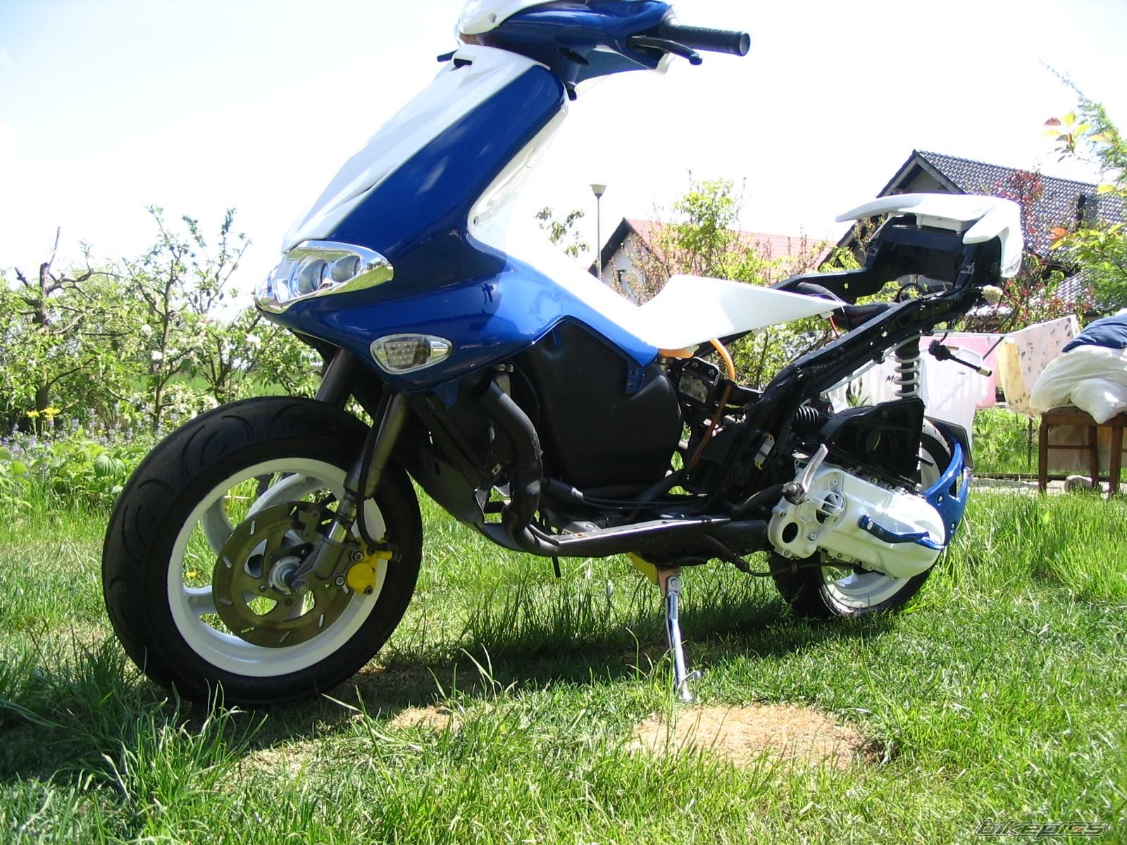Photo 1283420