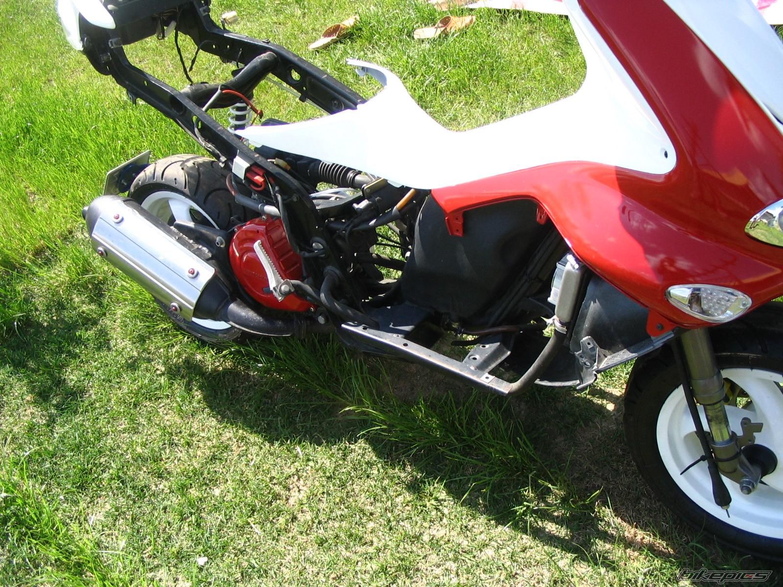 Photo 1283438