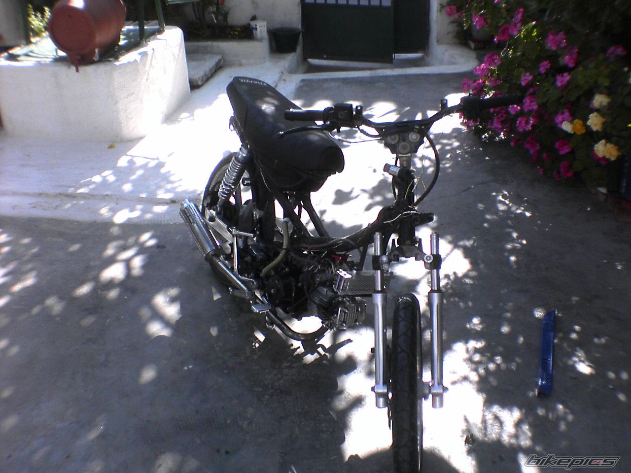 Photo 1283459