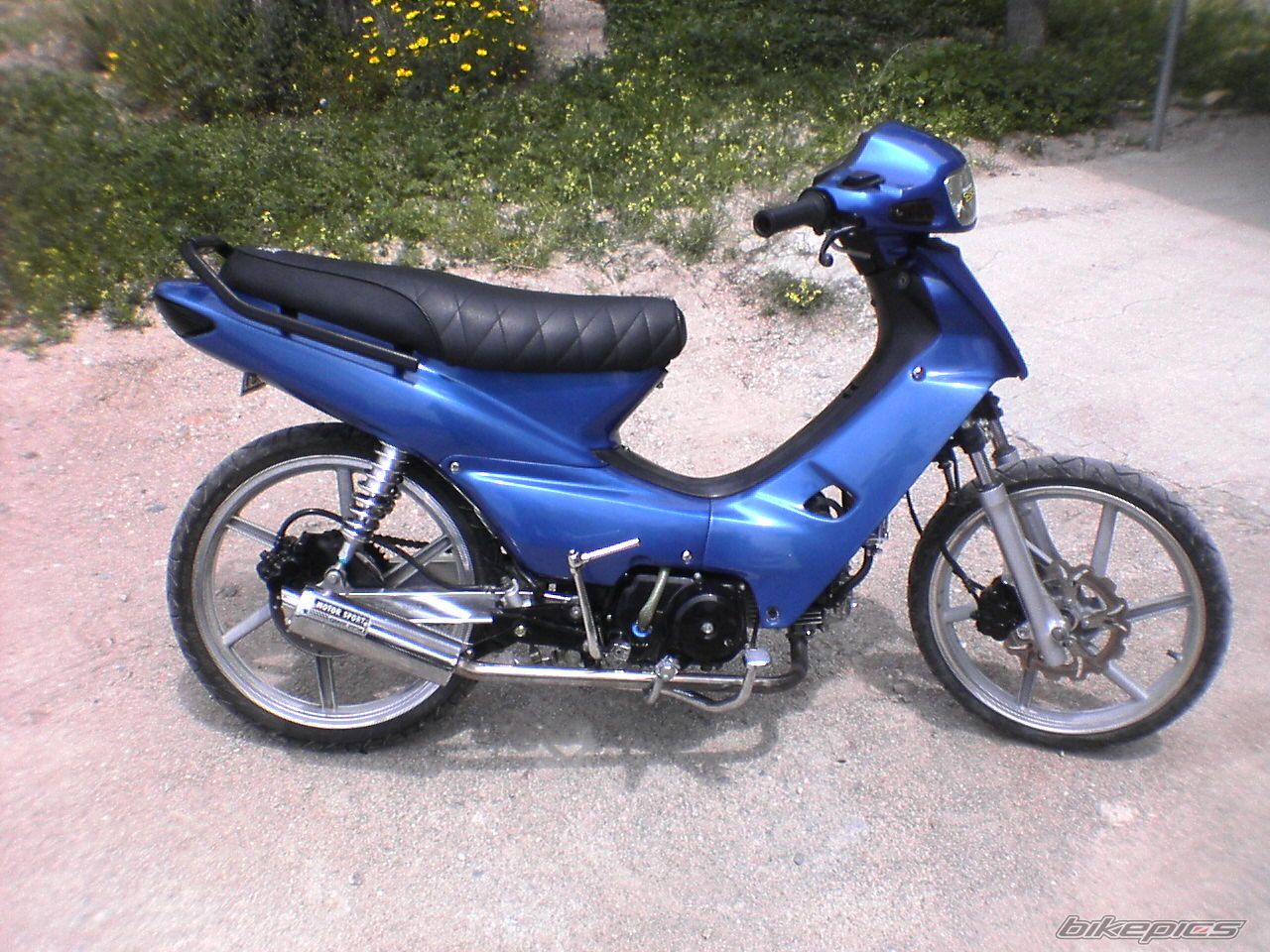 Photo 1283464