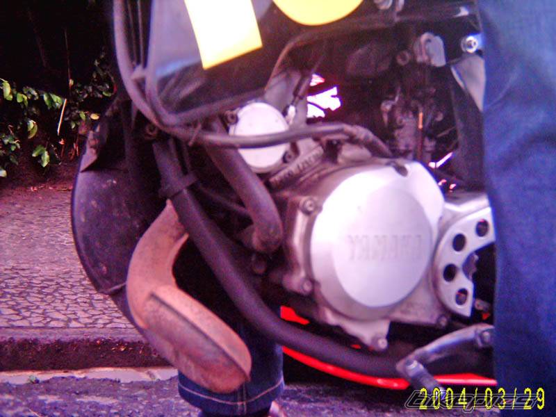 Photo 128352