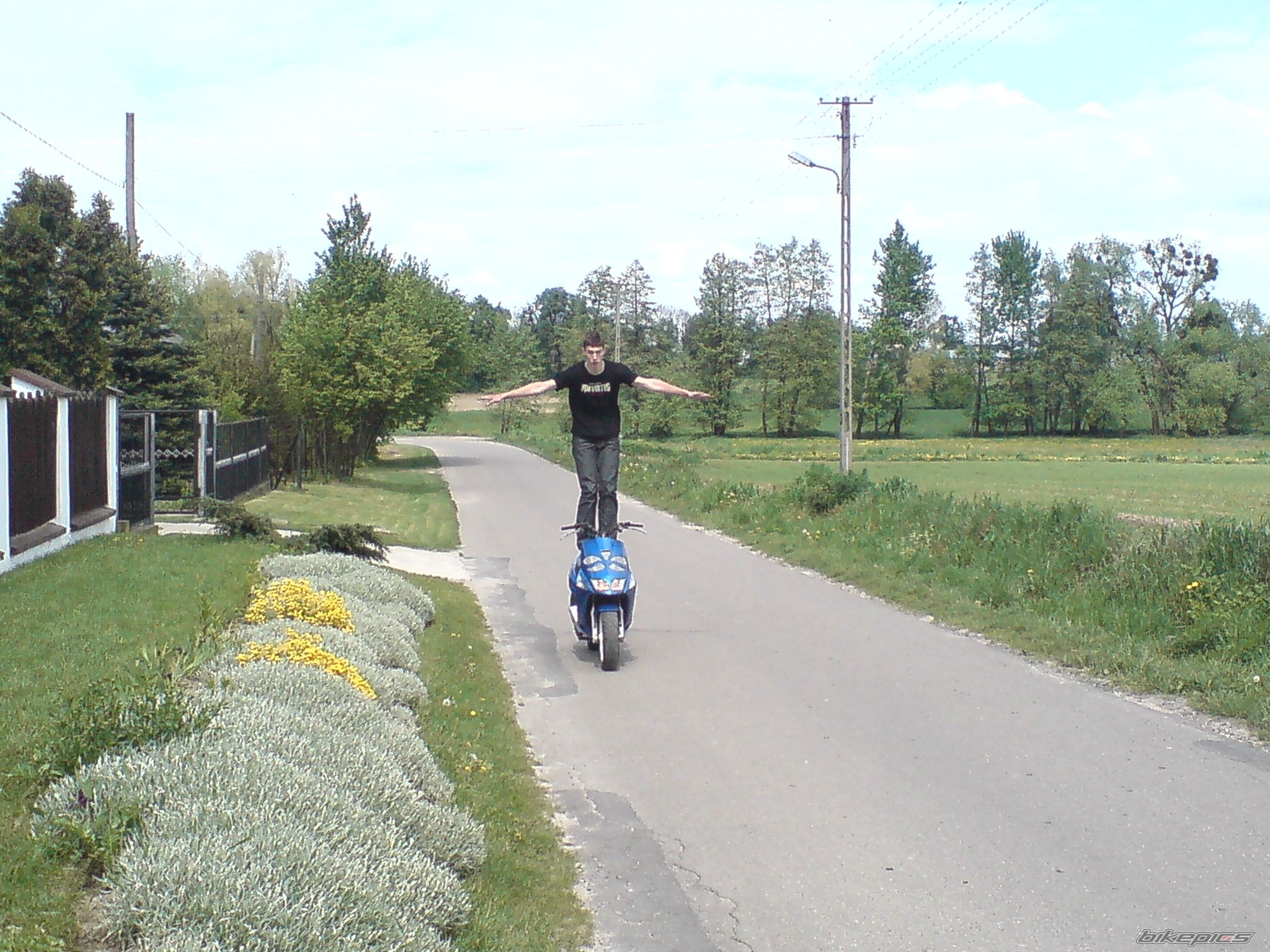 Photo 1283538