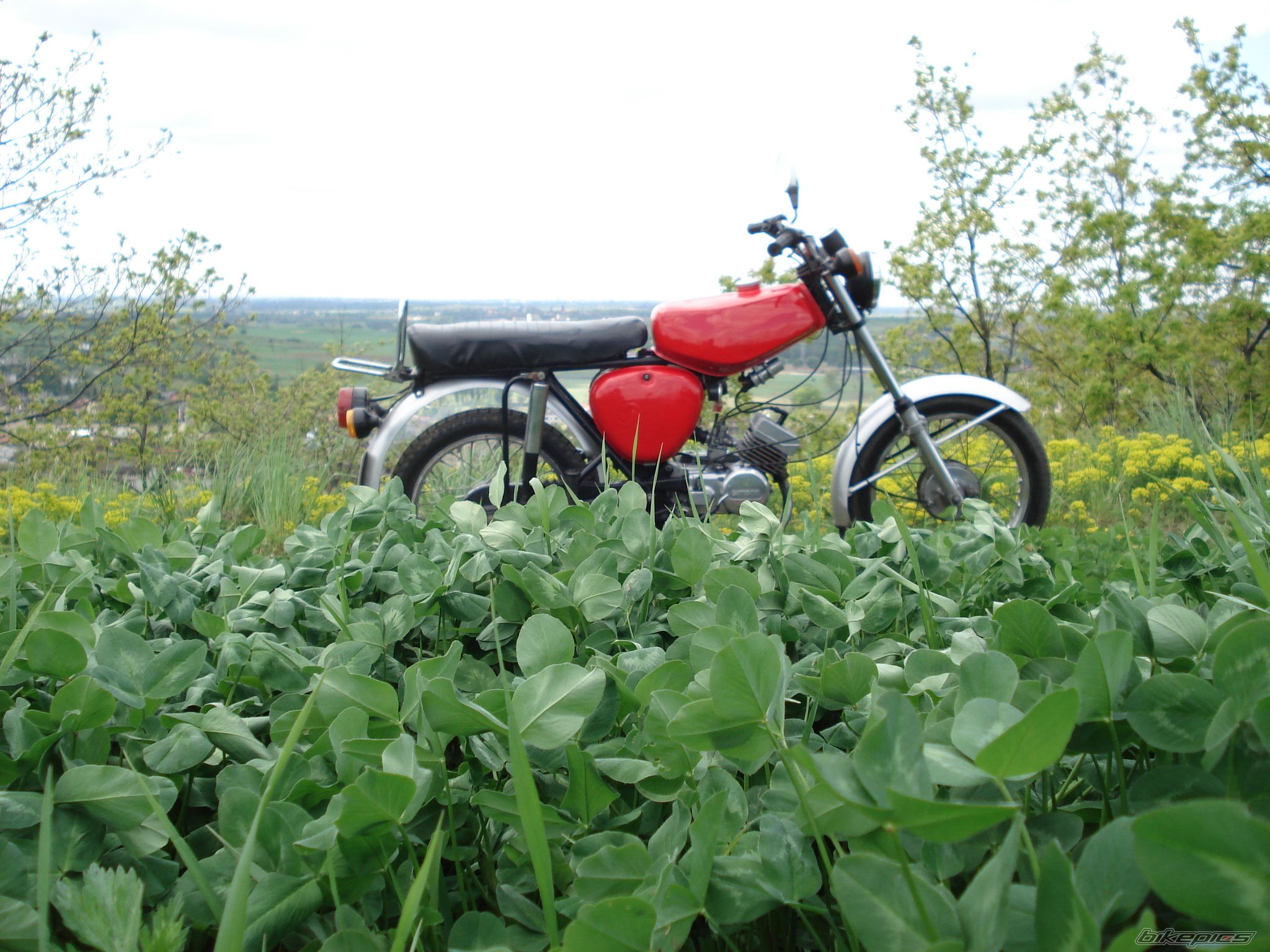 Bike Photo 1283540