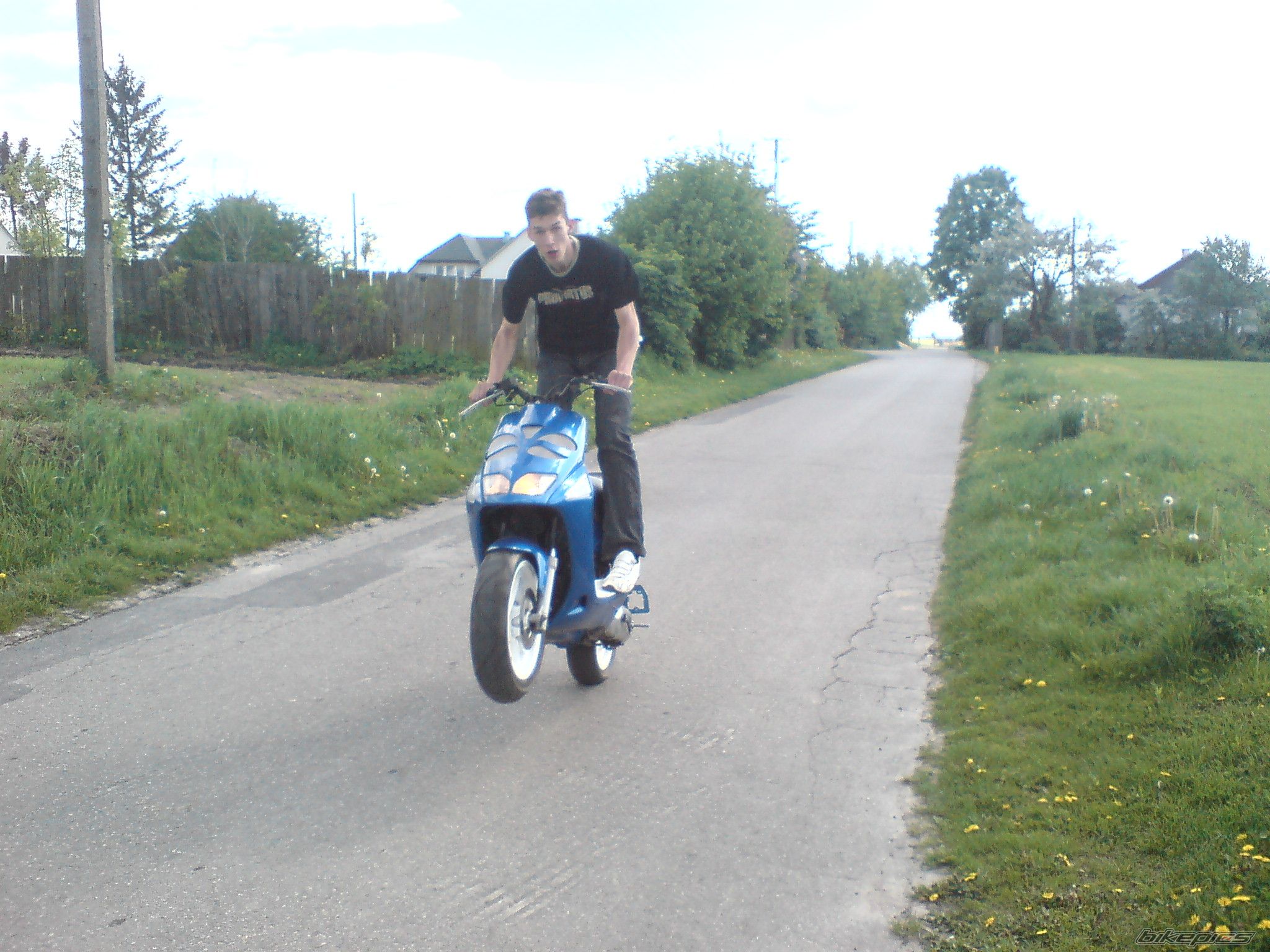 Photo 1283541