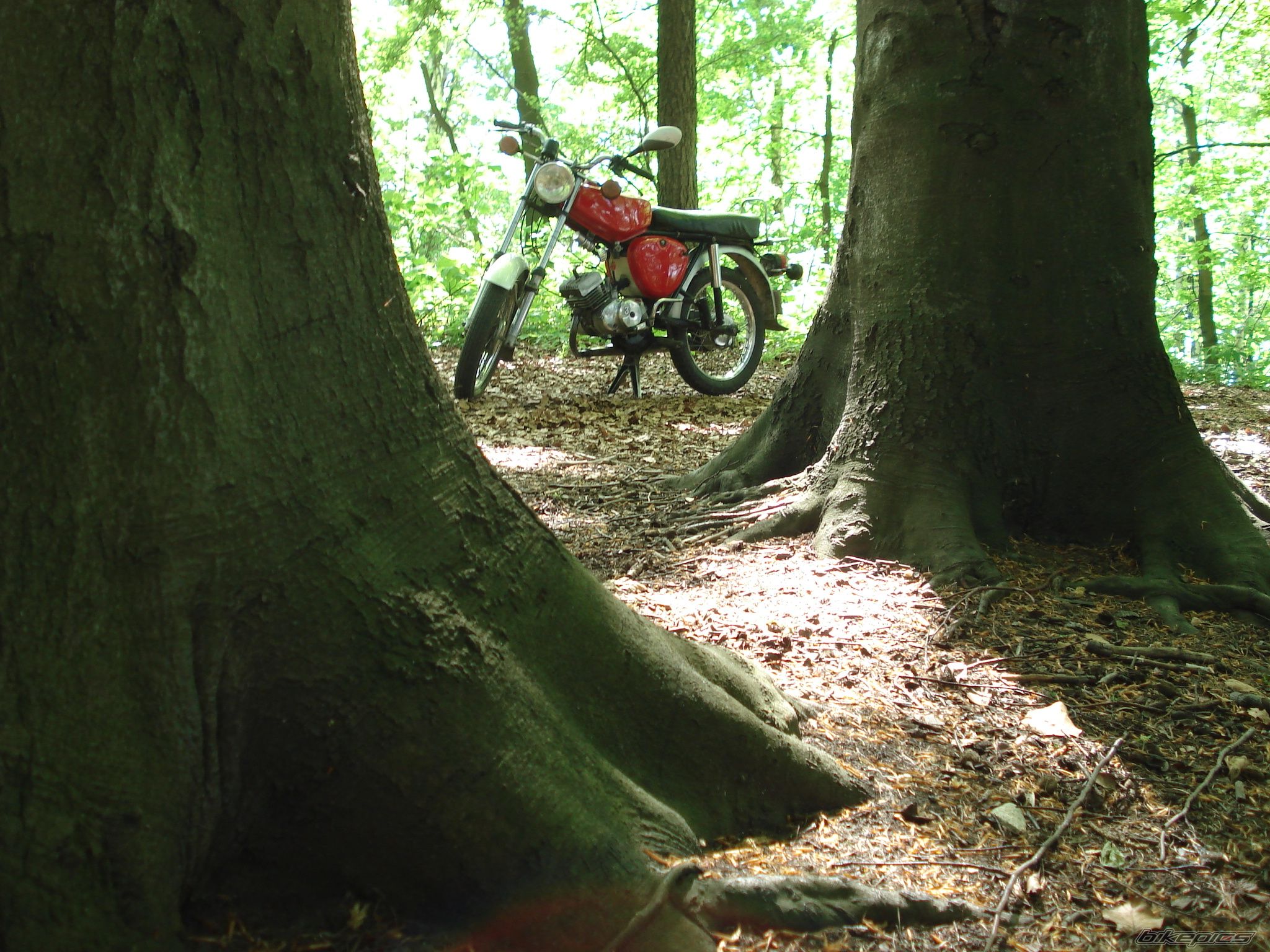 Bike Photo 1283585