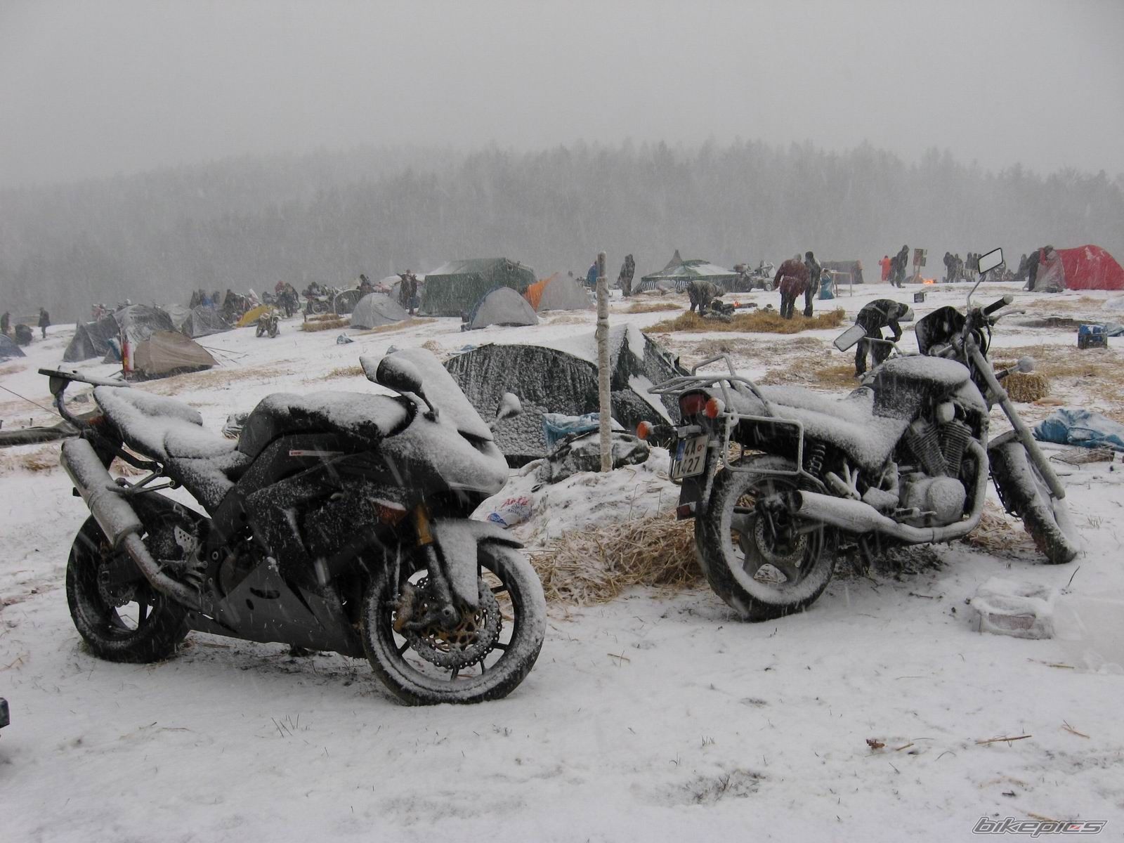 Bike Photo 1283596